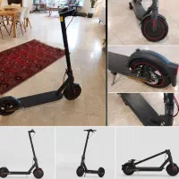 اسکوتر شیامی pro4