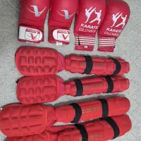 دستکش و روپایی لاکپشتی کاراته سایز L و XL