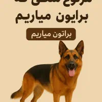 هر سگی بخواین میارم