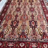 تک شش متری خیلی عالی|فرش|مراغه, |دیوار