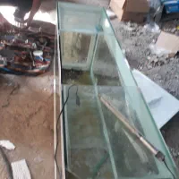 اکواریوم فروشی