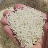 برنج هاشمی درجه ۱ شمال به شرط