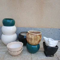 گلدان|گل و گیاه طبیعی|بهار, |دیوار