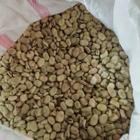 باقالی خشک بذری