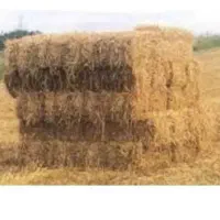 بسته کلش(گندم)