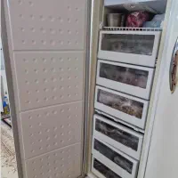 یخچال دوقلو سینجر|یخچال و فریزر|همدان, |دیوار