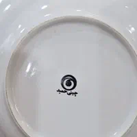 ظروف غذا خوری چینی