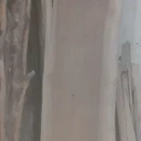 فروش چوب گردو خشک|مصالح و تجهیزات ساختمان|شهریار, شهرک بهاران (ویره)|دیوار