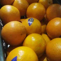 ذرت مکزیکی فریزر شده