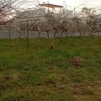 زمین شهرکی/۲۶۰ متر/ کوچه اختصاصی/سند /سه کنتور