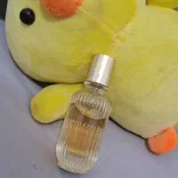 ادکلن مینیمال های گوگولی