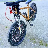 دوچرخه سایز 26ویوا