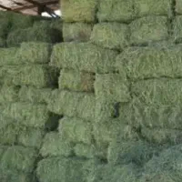 فروشی یونجه انباری