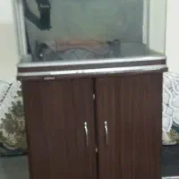 آکواریوم شیشه خم ماهیران