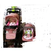 کالسکه..کریر.. کاملا سالم و تمییز|کالسکه و لوازم جانبی|شیراز, فاضل|دیوار