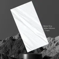 کاشی و سرامیک|مصالح و تجهیزات ساختمان|اردبیل, |دیوار