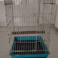 قفس ۱۰ در ۳۳