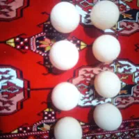 تخم مرغ برهما