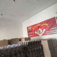 پخش تخم مرغ روز مستقیم از مرغداری