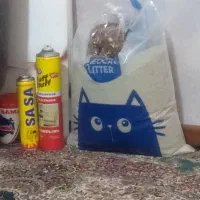 خاک گربه وغذا