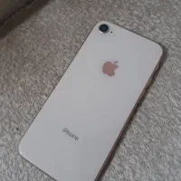 apple 8