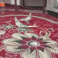 ۲عددعروس هلندی دستی|پرنده|قیدار, |دیوار