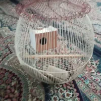 قفس پرنده