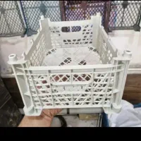 سبد میوه۳۰ هزار