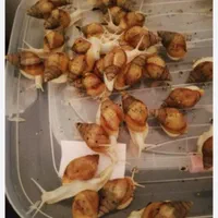 با حداقل سرمایه کار پر سود داشته باشید