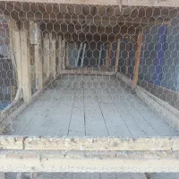 قفس برای انواع پرنده و جوجه|لوازم جانبی حیوانات|فاضل آباد, |دیوار