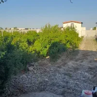 فروش-باغ-ویلا-630-متری-با-استخر-محمود-آباد-دالستان