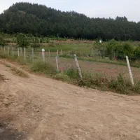 زمین باغی در روستای باقر آباد رامیان