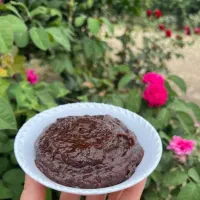 رب آلوچه تازه خانگی