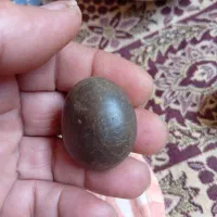 نمایش سنگ