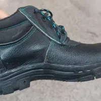 کفش کار سهند***|کیف، کفش، کمربند|کرمان, |دیوار