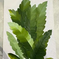 تابلو برگ استوایی|تابلو، نقاشی، عکس|شهر بابک, |دیوار