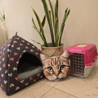 لانه و باکس سگ و گربه