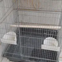 قفس پرنده