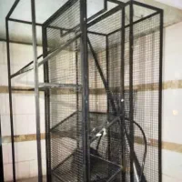 رگال و دکور