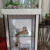 استند چوبی|کتابخانه، شلف، قفسه‌های دیواری|شیراز, سلطان آباد|دیوار