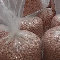 بادام زمینی آستانه اشرفیه  تازه و باکیفیت|خوردنی و آشامیدنی|تهران, امانیه|دیوار