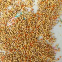 استخدام کارگر ساده