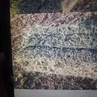سلام ۴ تن یونجه پرس خشک درجه یک مال تابستان