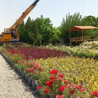 اجاره جرثقیل۷تن.دکل.بلند|خدمات حمل و نقل|رباطکریم, رباطکریم|دیوار