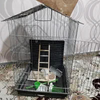 قفس پرنده|لوازم جانبی حیوانات|اسدآباد, |دیوار