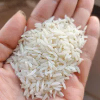 برنج دم سیاه با بهترین کیفیت