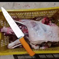 قصاب|استخدام خدمات فروشگاه و رستوران|آبادان, |دیوار