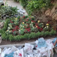 خدمات باغبانی و گل کاری در تمام نقاط تهران|خدمات باغبانی و درختکاری|تهران, سعادت‌آباد|دیوار