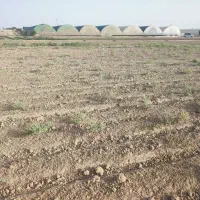 ۳۰۵۰مترزمین کشاورزی همراه۱ساعت آب موتوربفروش میرسد|فروش زمین و ملک کلنگی|پاکدشت, پاکدشت (مامازند)|دیوار