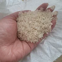 برنج طارم فجر مازندران